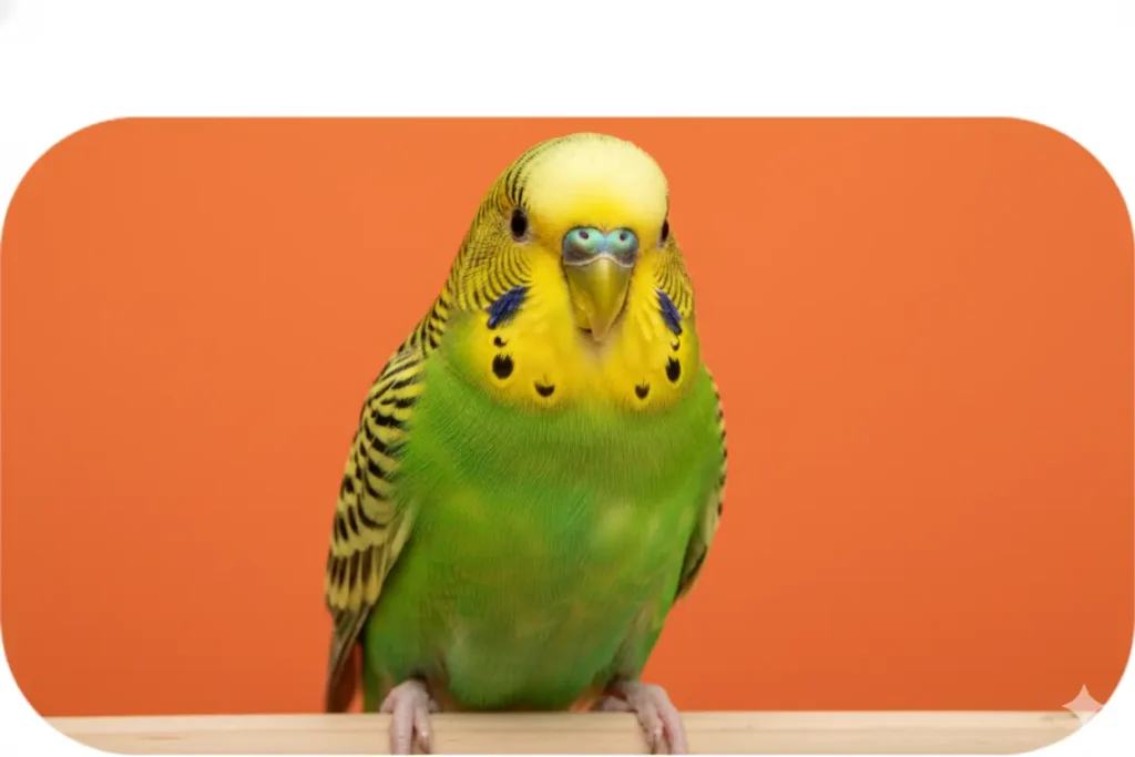 gemini generated image 4ltco04ltco04ltc