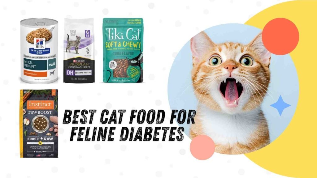 best cat food for feline diabetes