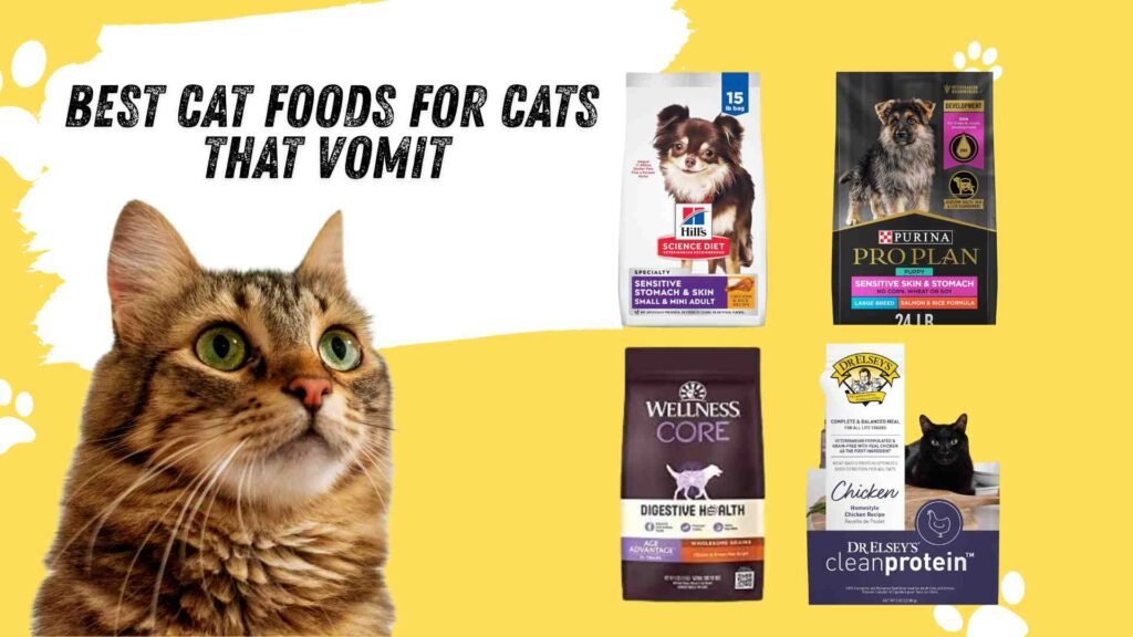 best cat food for cats that vomit