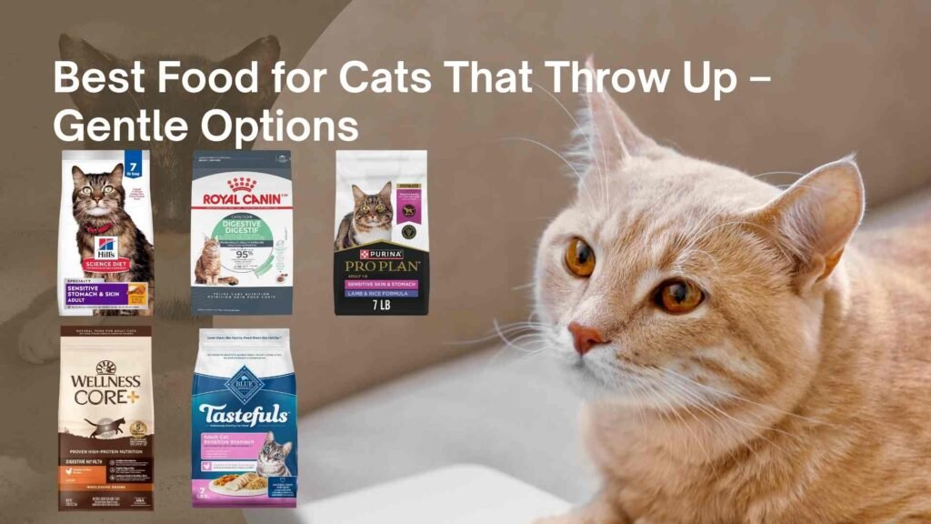 best food for cats that throw up