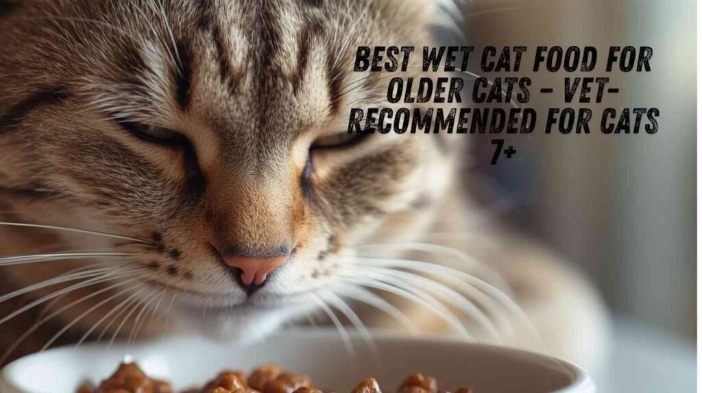 best wet cat food for older cats