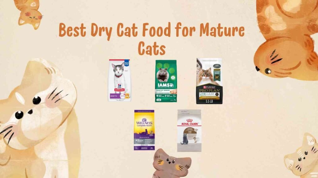 best dry cat food for mature cats