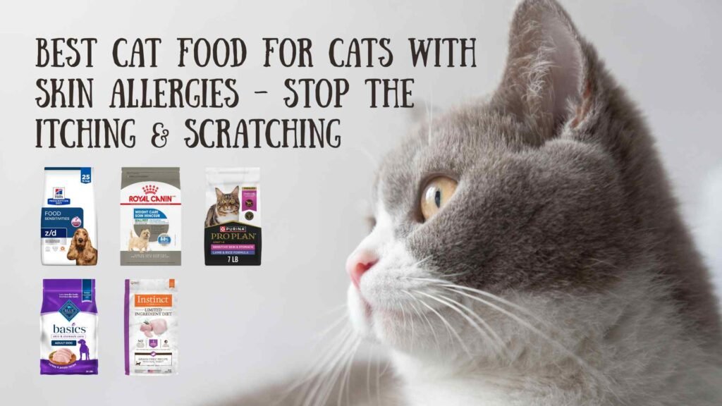 best cat food for cats with skin allergies