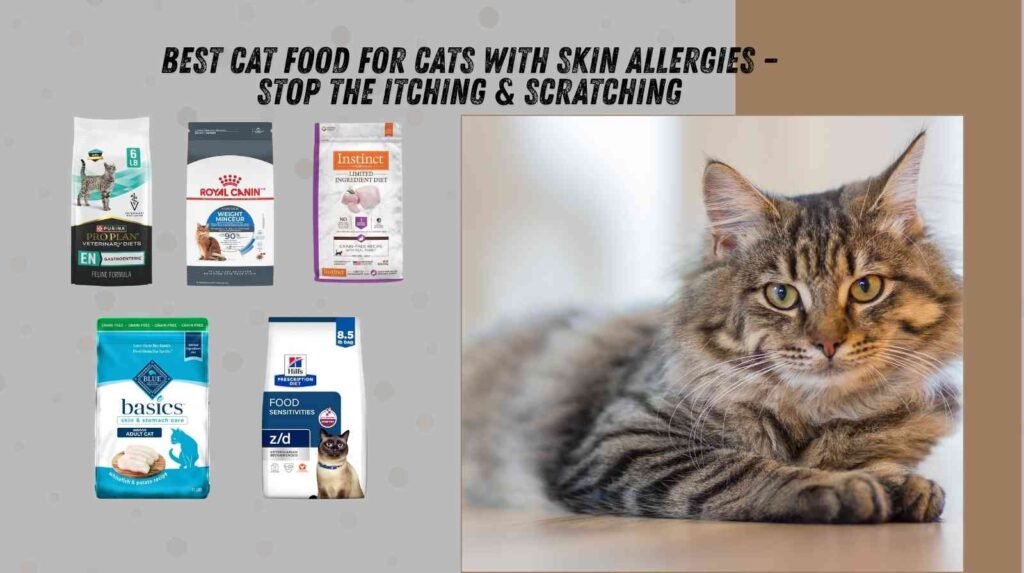 best cat food for skin allergies