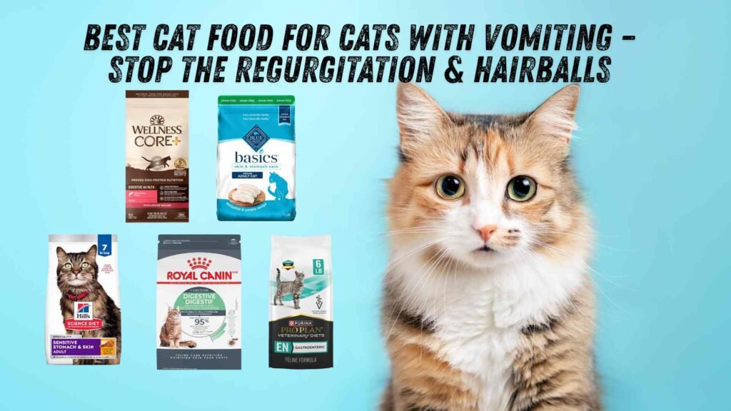 best cat food for vomiting