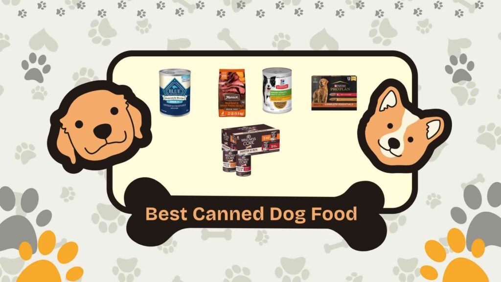 best canned dog food
