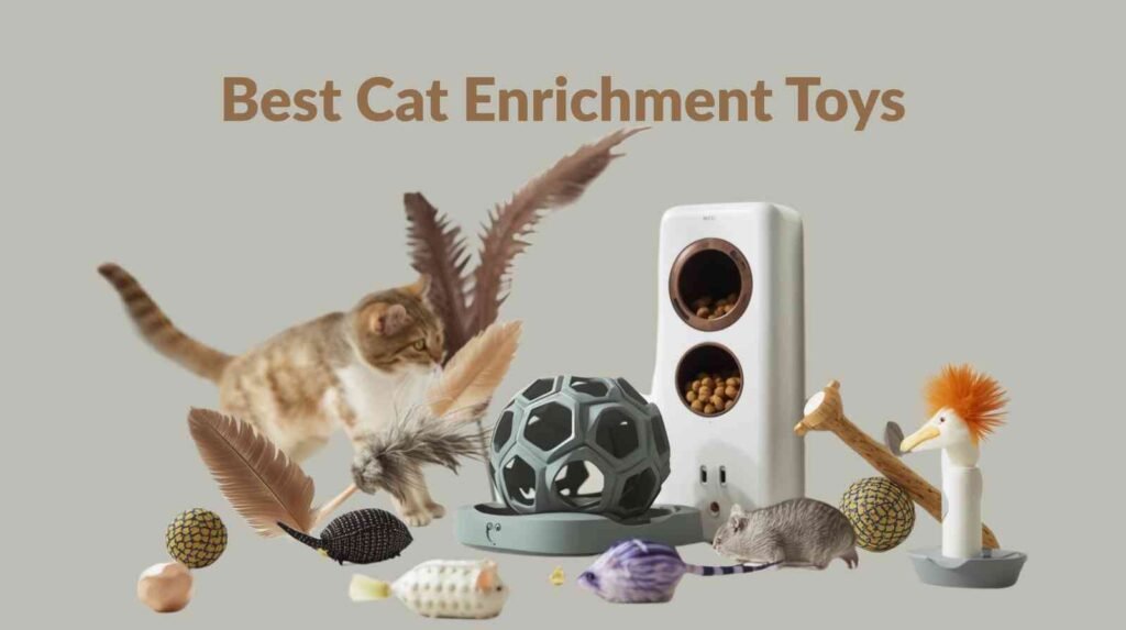best cat enrichment toys