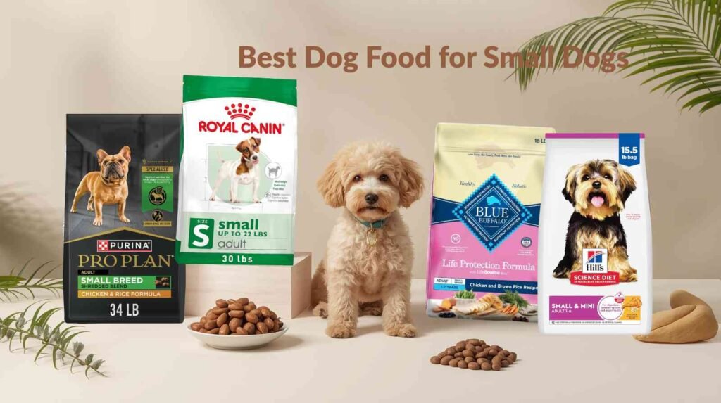 best dog food for small dogs