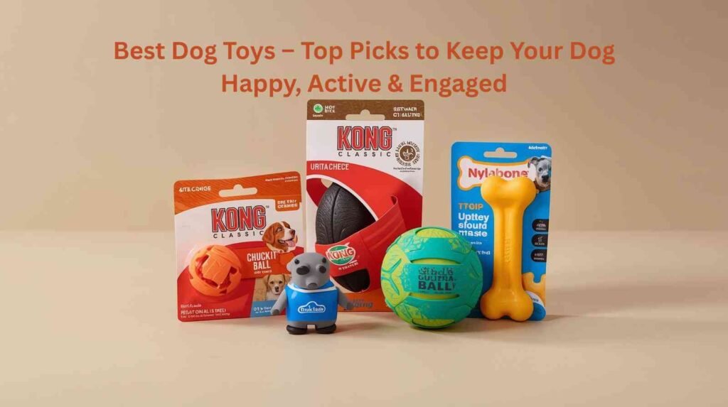 best dog toys