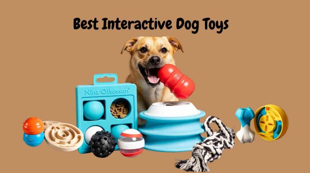 best interactive dog toys