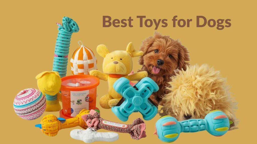 best toys for dogs