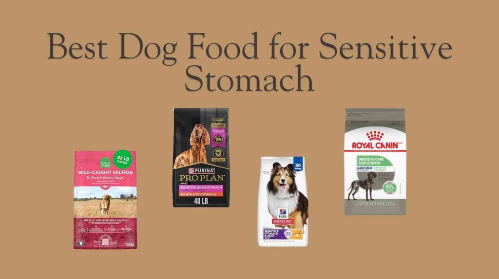 best dog food for sensitive stomach