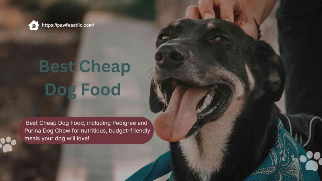 best cheap dog food