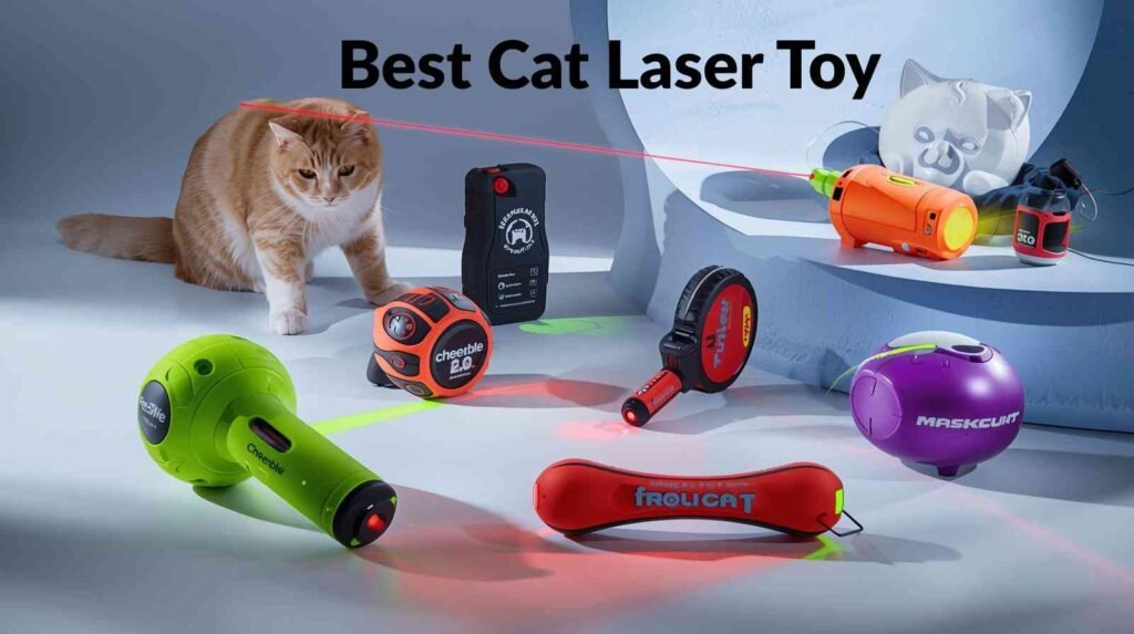 best cat laser toy