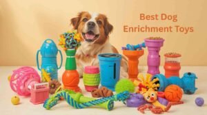 best dog enrichment toys