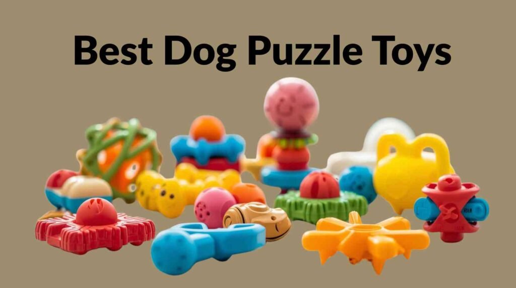Best Dog Puzzle Toys