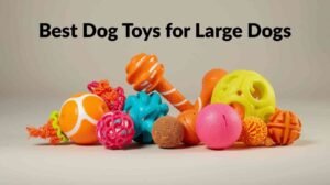Best Dog Toys for Large Dogs