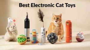 best electronic cat toys
