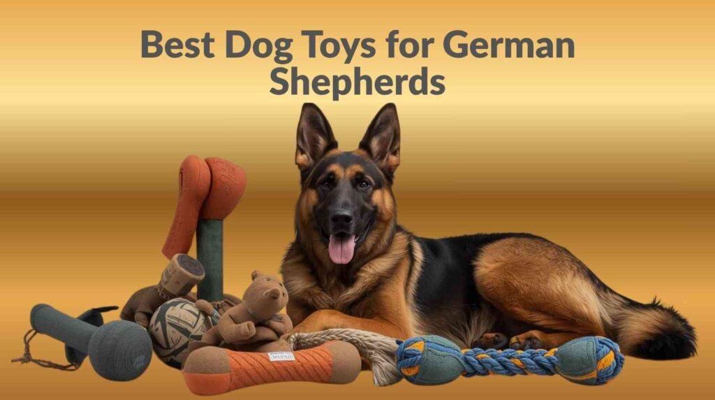 best dog toys for german shepherds